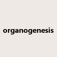 organogenesis是什么意思