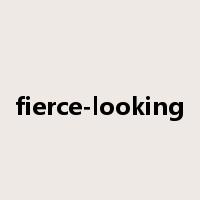 fierce-looking是什么意思