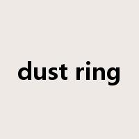 dust ring是什么意思