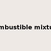 combustible mixture是什么意思