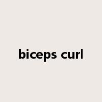 biceps curl是什么意思