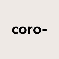 coro-是什么意思