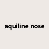 aquiline nose是什么意思