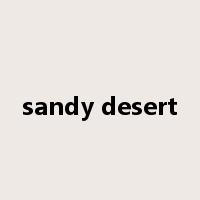 sandy desert是什么意思