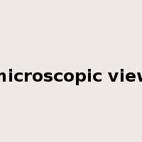 microscopic view是什么意思