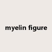 myelin figure是什么意思