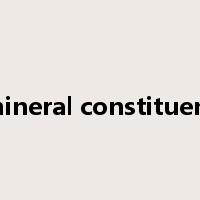 mineral constituent是什么意思