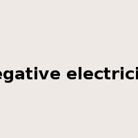 negative electricity是什么意思