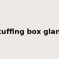 stuffing box gland是什么意思