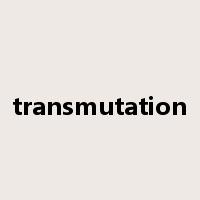 transmutation是什么意思