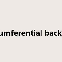 circumferential backlash是什么意思