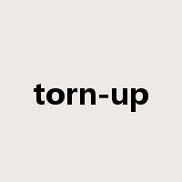 torn-up是什么意思