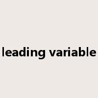 leading variable是什么意思