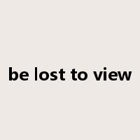 be lost to view是什么意思