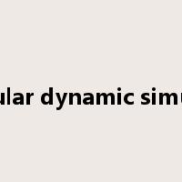 molecular dynamic simulation是什么意思