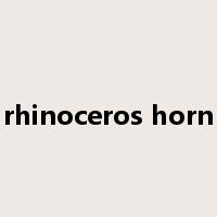 rhinoceros horn是什么意思
