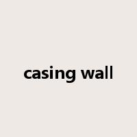 casing wall是什么意思