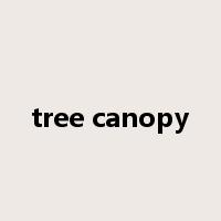 tree canopy是什么意思