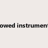 bowed instruments是什么意思