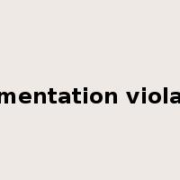 Segmentation violation是什么意思