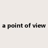 a point of view是什么意思