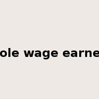 sole wage earner是什么意思