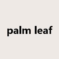 palm leaf是什么意思