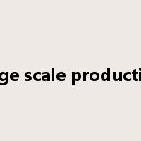 large scale production是什么意思