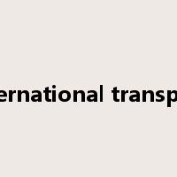 international transport是什么意思