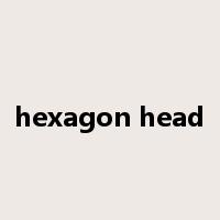 hexagon head是什么意思