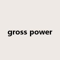 gross power是什么意思