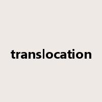 translocation是什么意思