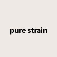 pure strain是什么意思