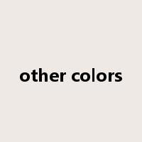 other colors是什么意思