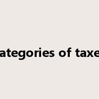 categories of taxes是什么意思