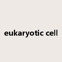 eukaryotic cell是什么意思