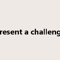 present a challenge是什么意思