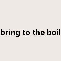 bring to the boil是什么意思