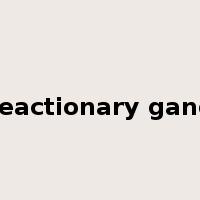 reactionary gang是什么意思