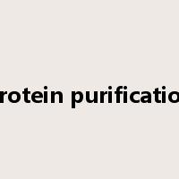 protein purification是什么意思