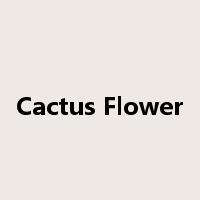 Cactus Flower是什么意思