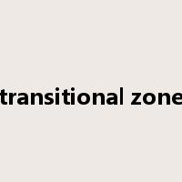 transitional zone是什么意思