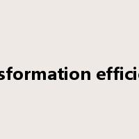 transformation efficiency是什么意思