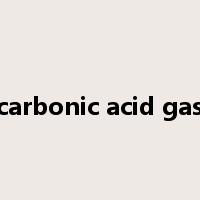carbonic acid gas是什么意思