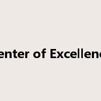 Center of Excellence是什么意思
