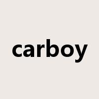 carboy是什么意思