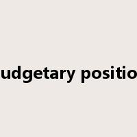 budgetary position是什么意思