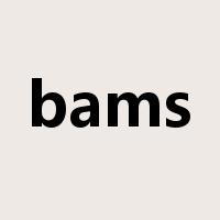 bams是什么意思