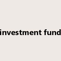 investment fund是什么意思