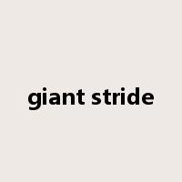 giant stride是什么意思